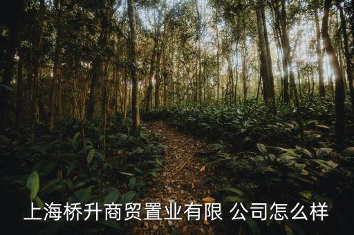 上海橋升商貿置業(yè)有限 公司怎么樣