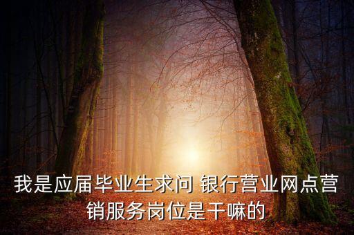 我是應屆畢業(yè)生求問 銀行營業(yè)網(wǎng)點營銷服務崗位是干嘛的