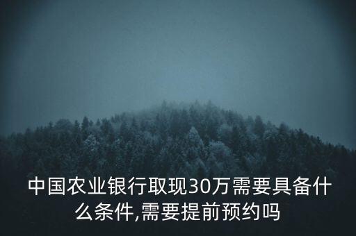  中國(guó)農(nóng)業(yè)銀行取現(xiàn)30萬需要具備什么條件,需要提前預(yù)約嗎