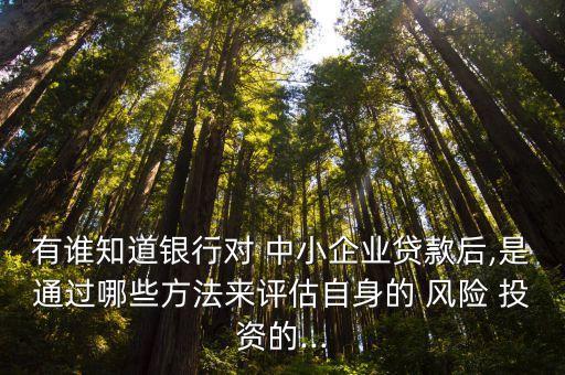 有誰知道銀行對 中小企業(yè)貸款后,是通過哪些方法來評估自身的 風(fēng)險(xiǎn) 投資的...