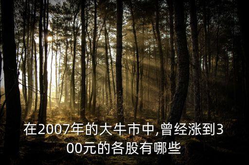 在2007年的大牛市中,曾經(jīng)漲到300元的各股有哪些