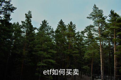 etf基金走勢(shì)圖510260,etF基金