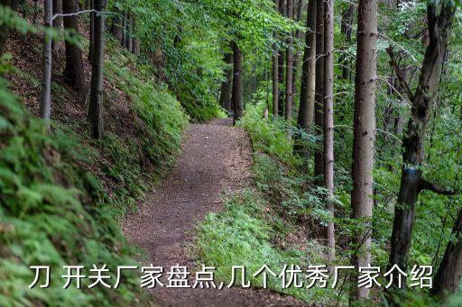 刀 開關(guān)廠家盤點,幾個優(yōu)秀廠家介紹