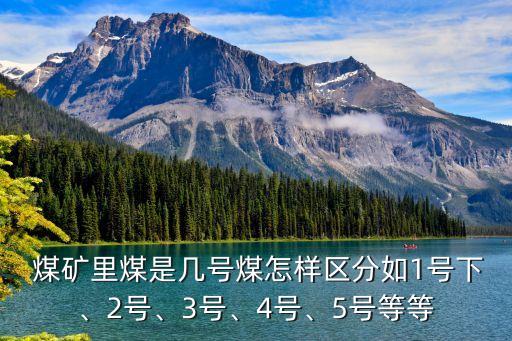  煤礦里煤是幾號煤怎樣區(qū)分如1號下、2號、3號、4號、5號等等