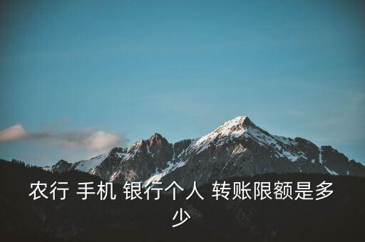 農(nóng)行 手機 銀行個人 轉(zhuǎn)賬限額是多少