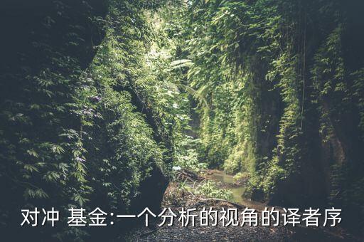 對沖 基金:一個分析的視角的譯者序