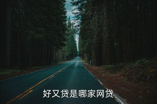 好又貸是哪家網貸