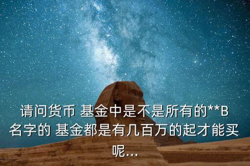 請(qǐng)問貨幣 基金中是不是所有的**B名字的 基金都是有幾百萬的起才能買呢...