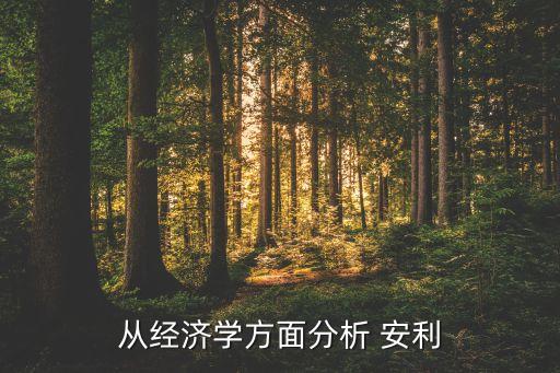 從經濟學方面分析 安利