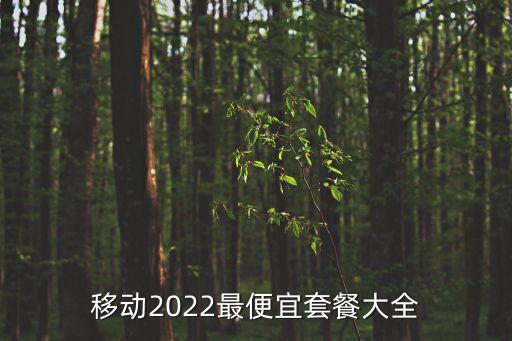 移動2022最便宜套餐大全