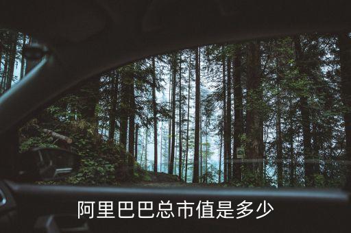 未上市公司估值排名,簡(jiǎn)述上市公司及其股票估值的主要方法