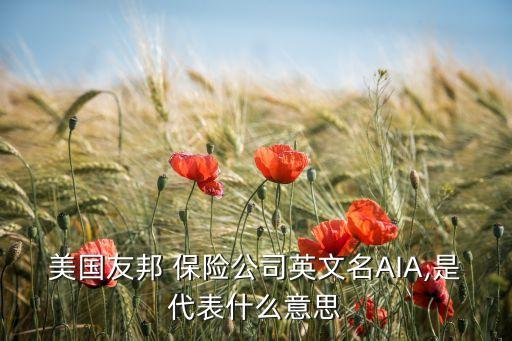 外資獨(dú)資保險(xiǎn)公司,中國(guó)外資獨(dú)資保險(xiǎn)公司有哪些