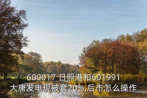 600017 日照港和601991大唐發(fā)電現(xiàn)被套20%,后市怎么操作