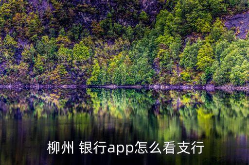  柳州 銀行app怎么看支行