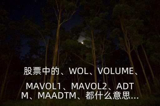  股票中的、WOL、VOLUME、MAVOL1、MAVOL2、ADTM、MAADTM、都什么意思...