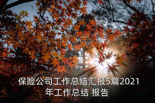  保險公司工作總結(jié)匯報5篇2021年工作總結(jié) 報告