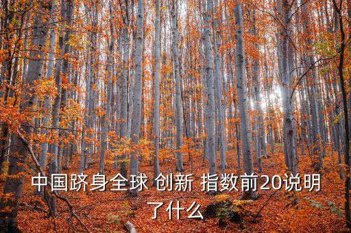 中國躋身全球 創(chuàng)新 指數(shù)前20說明了什么