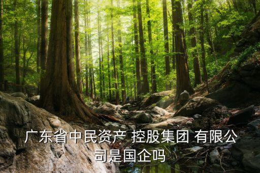 廣東廣新投資控股有限公司,深圳廣新投資發(fā)展有限公司