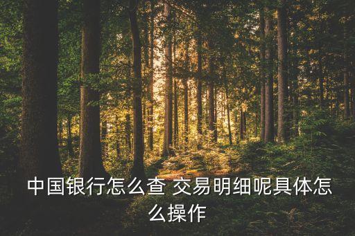  中國(guó)銀行怎么查 交易明細(xì)呢具體怎么操作