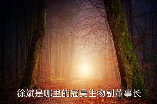  徐斌是哪里的冠昊生物副董事長