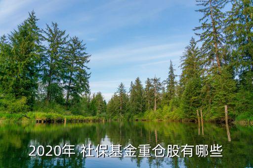 2020年 社?；鹬貍}(cāng)股有哪些