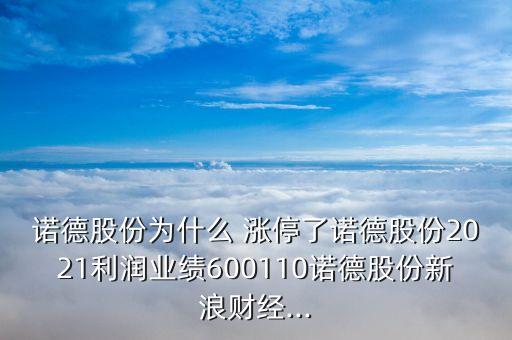 諾德股份為什么 漲停了諾德股份2021利潤業(yè)績600110諾德股份新浪財經(jīng)...