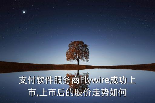 支付軟件服務(wù)商Flywire成功上市,上市后的股價(jià)走勢如何