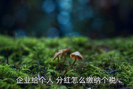 企業(yè)給個(gè)人 分紅怎么繳納個(gè)稅