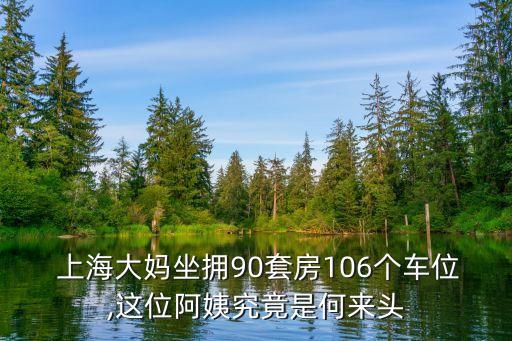  上海大媽坐擁90套房106個(gè)車(chē)位,這位阿姨究竟是何來(lái)頭