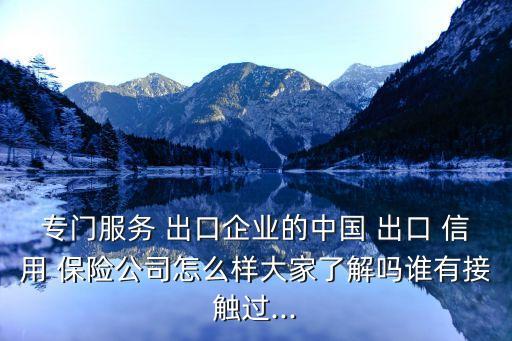 專門服務(wù) 出口企業(yè)的中國 出口 信用 保險公司怎么樣大家了解嗎誰有接觸過...