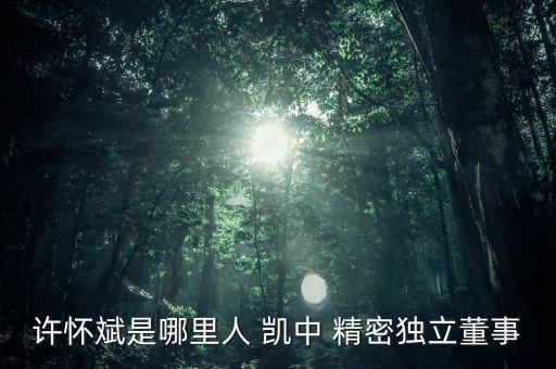 許懷斌是哪里人 凱中 精密獨立董事