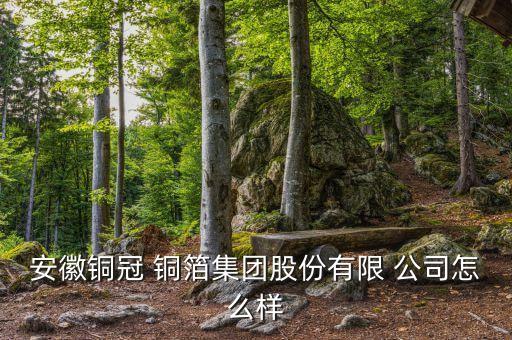 安徽銅冠 銅箔集團(tuán)股份有限 公司怎么樣