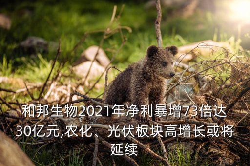 和邦生物2021年凈利暴增73倍達(dá)30億元,農(nóng)化、光伏板塊高增長(zhǎng)或?qū)⒀永m(xù)