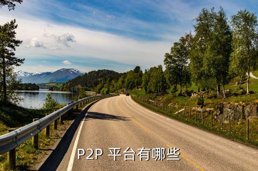 P2P 平臺有哪些