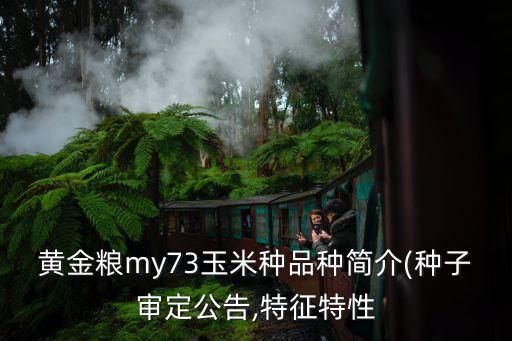 黃金糧my73玉米種品種簡(jiǎn)介(種子審定公告,特征特性