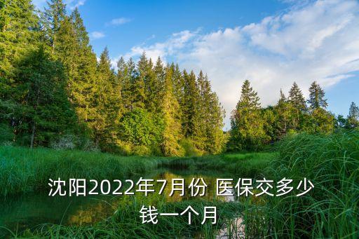  沈陽(yáng)2022年7月份 醫(yī)保交多少錢一個(gè)月