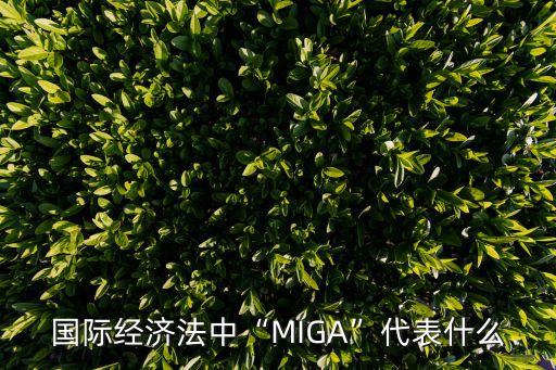 國(guó)際經(jīng)濟(jì)法中“MIGA”代表什么