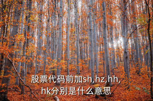  股票代碼前加sh,hz,hh, hk分別是什么意思