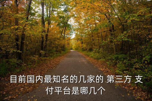 目前國內(nèi)最知名的幾家的 第三方 支付平臺是哪幾個