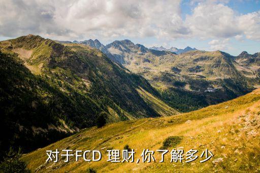 對(duì)于FCD 理財(cái),你了解多少