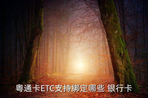 粵通卡ETC支持綁定哪些 銀行卡