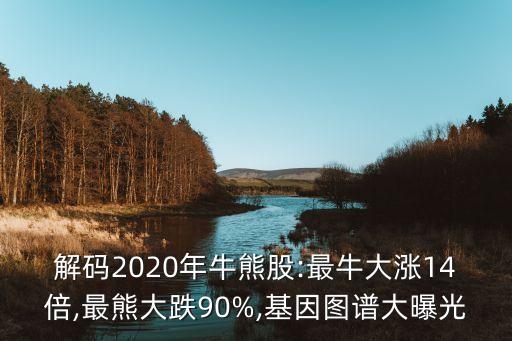 解碼2020年牛熊股:最牛大漲14倍,最熊大跌90%,基因圖譜大曝光