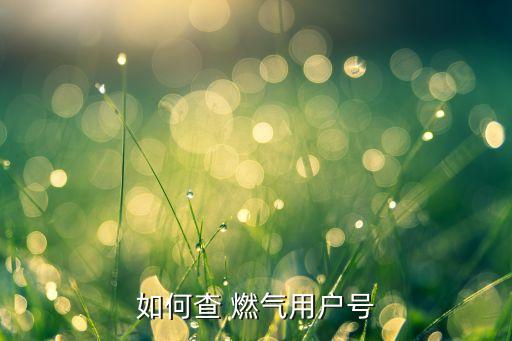 如何查 燃?xì)庥脩?hù)號(hào)