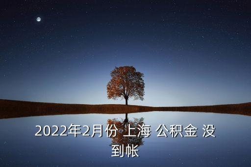 2022年2月份 上海 公積金 沒(méi)到帳