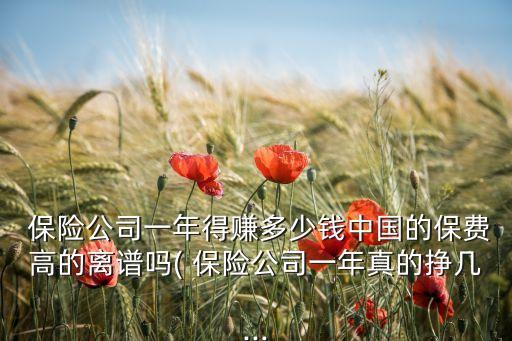  保險(xiǎn)公司一年得賺多少錢(qián)中國(guó)的保費(fèi)高的離譜嗎( 保險(xiǎn)公司一年真的掙幾...