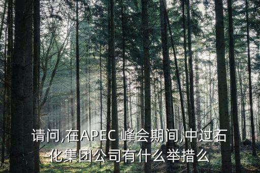 請問,在APEC 峰會期間,中過石化集團公司有什么舉措么