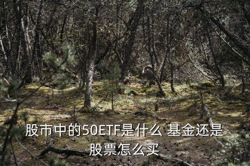 股市中的50ETF是什么 基金還是股票怎么買(mǎi)