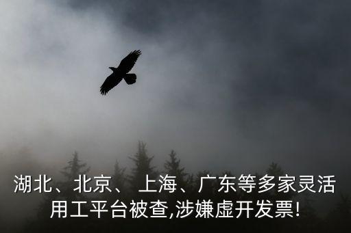 湖北、北京、 上海、廣東等多家靈活用工平臺被查,涉嫌虛開發(fā)票!