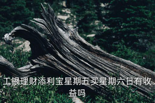 工銀理財(cái)添利寶星期五買(mǎi)星期六日有收益嗎