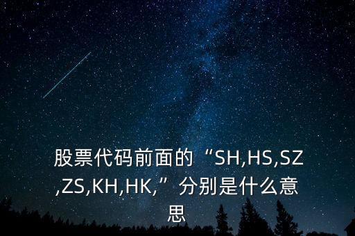  股票代碼前面的“SH,HS,SZ,ZS,KH,HK,”分別是什么意思